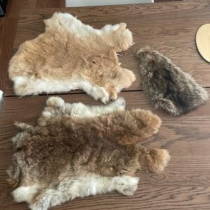 Oddities pelt collection all 3